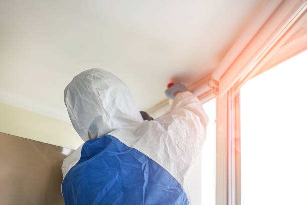 Professional Mold Removal Services in Gautier, MS