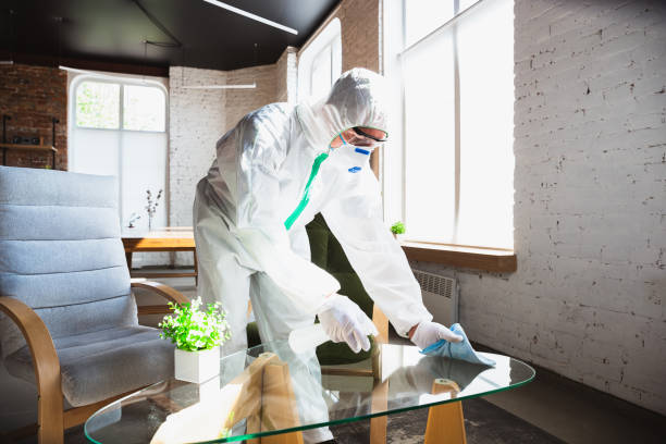 Why You Should Choose Our Mold Remediation Services in Gautier, MS