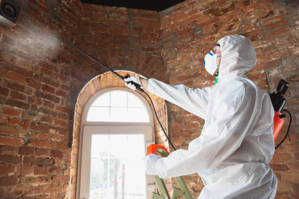 Best Biohazard Mold Removal  in Gautier, MS