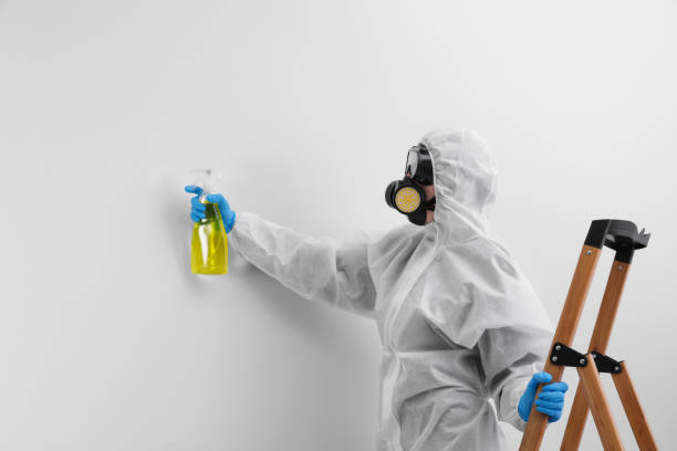  Gautier, MS Mold Removal Services Pros